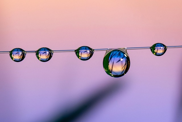 Лучшие онлайн-тренировки для фитнеса дома